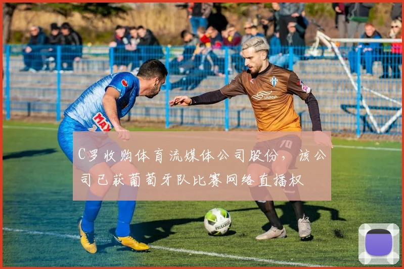 C罗收购体育流媒体公司股份，该公司已获葡萄牙队比赛网络直播权